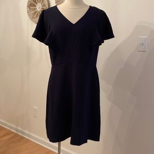 NWT Loft Flutter Sleeve Dress
